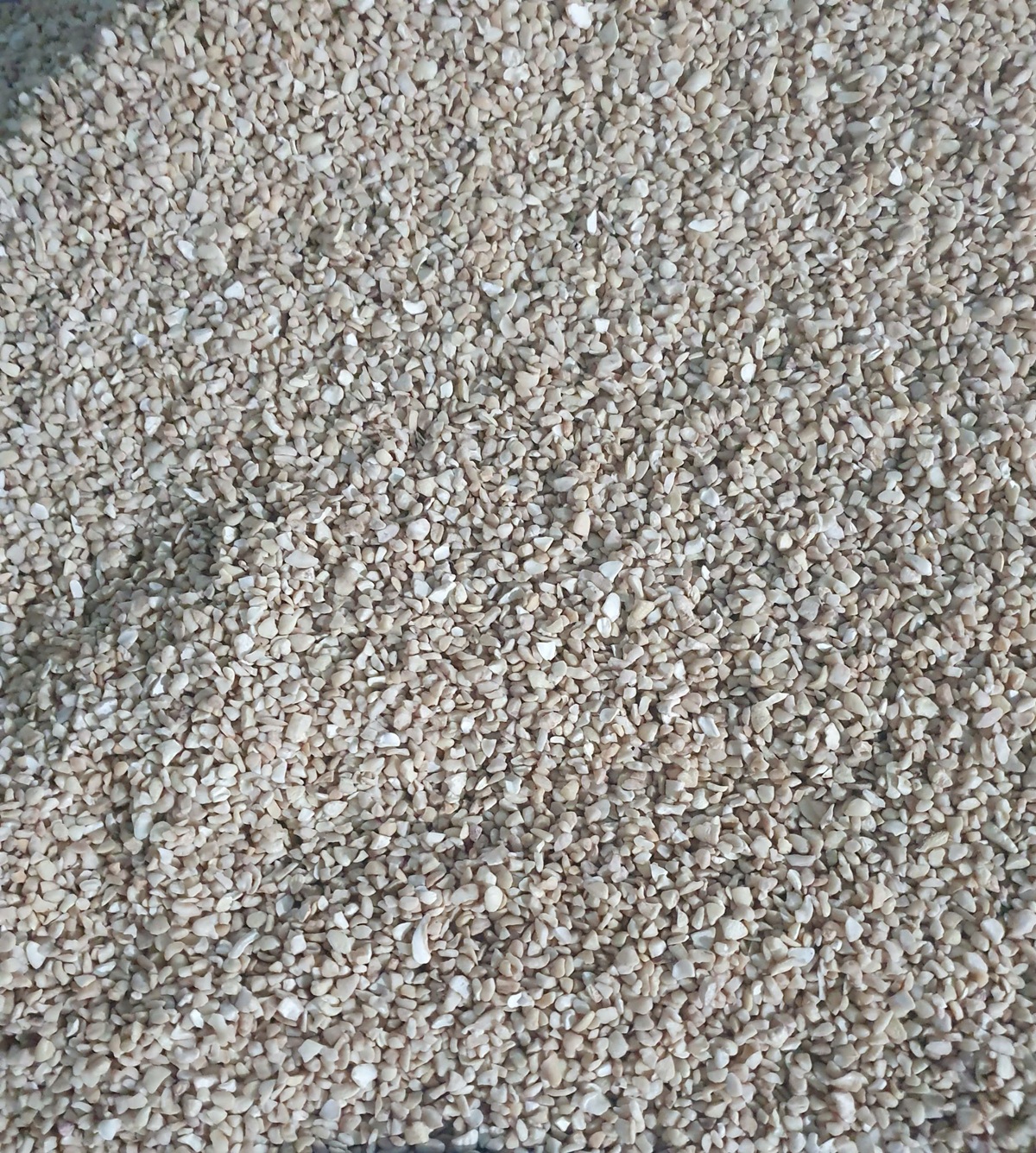 Mã hàng SP